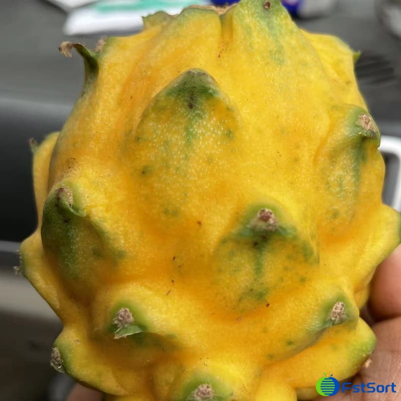 images/1657879285715dragon fruit sorting equipment.jpg